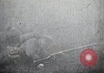 Image les troupes japonaises Japon, 1933, de la seconde 23 séquences d'archives historiques vidéo 65675025046