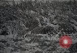 Image L'armée japonaise des exercices de tir réel Japon, 1933, de la seconde 30 séquences d'archives historiques vidéo 65675025047