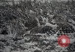 Image L'armée japonaise des exercices de tir réel Japon, 1933, de la seconde 31 séquences d'archives historiques vidéo 65675025047