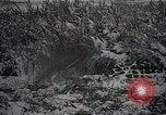 Image L'armée japonaise des exercices de tir réel Japon, 1933, de la seconde 35 séquences d'archives historiques vidéo 65675025047