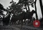 Standbild Japanische militärische Manöver realistisch Japan, 1933, aus Sekunde 25 historischem Filmmaterial Videoclip 65675025048