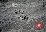 Standbild Japanische Armee militärische Übungen Japan, 1933, aus Sekunde 30 historischem Filmmaterial Videoclip 65675025049