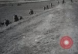 Standbild Japanische Armee militärische Übungen Japan, 1933, aus Sekunde 47 historischem Filmmaterial Videoclip 65675025049