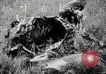 Image of Japanese expedition China, 1936, second 10 stock footage video 65675025052