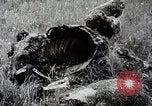 Image of Japanese expedition China, 1936, second 20 stock footage video 65675025052