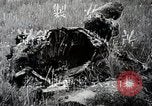 Image of Japanese expedition China, 1936, second 28 stock footage video 65675025052