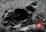 Image of Japanese expedition China, 1936, second 29 stock footage video 65675025052