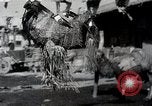 Image of Japanese expedition China, 1936, second 30 stock footage video 65675025053