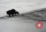 Standbild Japanische expedition in China Ningxia Yinchuan China, 1936, aus Sekunde 43 historischem Filmmaterial Videoclip 65675025055