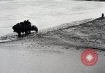 Standbild Japanische expedition in China Ningxia Yinchuan China, 1936, aus Sekunde 44 historischem Filmmaterial Videoclip 65675025055
