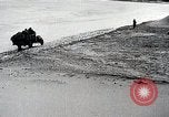 Standbild Japanische expedition in China Ningxia Yinchuan China, 1936, aus Sekunde 46 historischem Filmmaterial Videoclip 65675025055