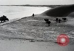 Standbild Japanische expedition in China Ningxia Yinchuan China, 1936, aus Sekunde 52 historischem Filmmaterial Videoclip 65675025055