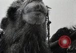 Standbild japanische Expedition China, 1936, aus Sekunde 23 historischem Filmmaterial Videoclip 65675025056