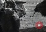 Standbild japanische Expedition China, 1936, aus Sekunde 27 historischem Filmmaterial Videoclip 65675025056