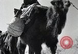 Standbild japanische Expedition China, 1936, aus Sekunde 62 historischem Filmmaterial Videoclip 65675025056