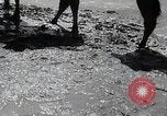 Standbild japanische Expedition China, 1936, aus Sekunde 21 historischem Filmmaterial Videoclip 65675025057