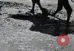 Standbild japanische Expedition China, 1936, aus Sekunde 23 historischem Filmmaterial Videoclip 65675025057