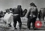 Standbild japanische Expedition China, 1936, aus Sekunde 31 historischem Filmmaterial Videoclip 65675025057