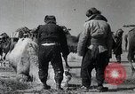 Standbild japanische Expedition China, 1936, aus Sekunde 32 historischem Filmmaterial Videoclip 65675025057