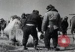 Standbild japanische Expedition China, 1936, aus Sekunde 33 historischem Filmmaterial Videoclip 65675025057
