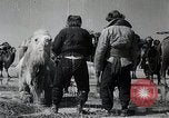 Standbild japanische Expedition China, 1936, aus Sekunde 34 historischem Filmmaterial Videoclip 65675025057