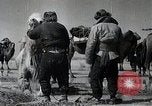 Standbild japanische Expedition China, 1936, aus Sekunde 35 historischem Filmmaterial Videoclip 65675025057