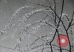 Standbild japanische Expedition China, 1936, aus Sekunde 60 historischem Filmmaterial Videoclip 65675025057