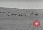 Standbild mongolischen Hirten Mandschurei, 1932, aus Sekunde 19 historischem Filmmaterial Videoclip 65675025058