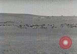 Standbild mongolischen Hirten Mandschurei, 1932, aus Sekunde 22 historischem Filmmaterial Videoclip 65675025058