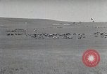 Standbild mongolischen Hirten Mandschurei, 1932, aus Sekunde 23 historischem Filmmaterial Videoclip 65675025058
