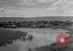 Standbild mongolischen Hirten Mandschurei, 1932, aus Sekunde 28 historischem Filmmaterial Videoclip 65675025058