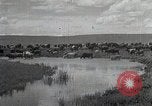 Standbild mongolischen Hirten Mandschurei, 1932, aus Sekunde 29 historischem Filmmaterial Videoclip 65675025058