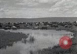 Standbild mongolischen Hirten Mandschurei, 1932, aus Sekunde 30 historischem Filmmaterial Videoclip 65675025058