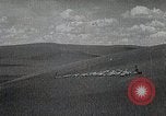 Standbild mongolischen Hirten Mandschurei, 1932, aus Sekunde 60 historischem Filmmaterial Videoclip 65675025058
