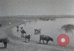 Standbild mongolischen Familie Mandschurei, 1932, aus Sekunde 4 historischem Filmmaterial Videoclip 65675025059