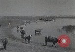 Standbild mongolischen Familie Mandschurei, 1932, aus Sekunde 5 historischem Filmmaterial Videoclip 65675025059