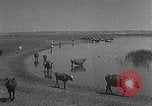 Standbild mongolischen Familie Mandschurei, 1932, aus Sekunde 6 historischem Filmmaterial Videoclip 65675025059