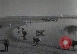 Standbild mongolischen Familie Mandschurei, 1932, aus Sekunde 7 historischem Filmmaterial Videoclip 65675025059