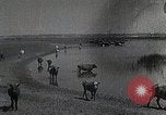 Standbild mongolischen Familie Mandschurei, 1932, aus Sekunde 8 historischem Filmmaterial Videoclip 65675025059