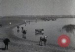 Standbild mongolischen Familie Mandschurei, 1932, aus Sekunde 9 historischem Filmmaterial Videoclip 65675025059