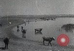 Standbild mongolischen Familie Mandschurei, 1932, aus Sekunde 10 historischem Filmmaterial Videoclip 65675025059