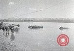 Standbild mongolischen Familie Mandschurei, 1932, aus Sekunde 12 historischem Filmmaterial Videoclip 65675025059