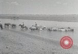 Standbild mongolischen Familie Mandschurei, 1932, aus Sekunde 18 historischem Filmmaterial Videoclip 65675025059