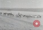 Standbild mongolischen Familie Mandschurei, 1932, aus Sekunde 19 historischem Filmmaterial Videoclip 65675025059