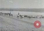 Standbild mongolischen Familie Mandschurei, 1932, aus Sekunde 20 historischem Filmmaterial Videoclip 65675025059