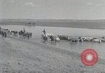 Standbild mongolischen Familie Mandschurei, 1932, aus Sekunde 21 historischem Filmmaterial Videoclip 65675025059
