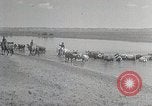 Standbild mongolischen Familie Mandschurei, 1932, aus Sekunde 22 historischem Filmmaterial Videoclip 65675025059