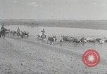 Standbild mongolischen Familie Mandschurei, 1932, aus Sekunde 23 historischem Filmmaterial Videoclip 65675025059