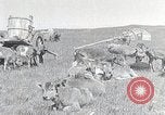 Standbild mongolischen Familie Mandschurei, 1932, aus Sekunde 33 historischem Filmmaterial Videoclip 65675025059