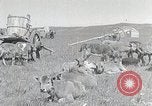 Standbild mongolischen Familie Mandschurei, 1932, aus Sekunde 34 historischem Filmmaterial Videoclip 65675025059